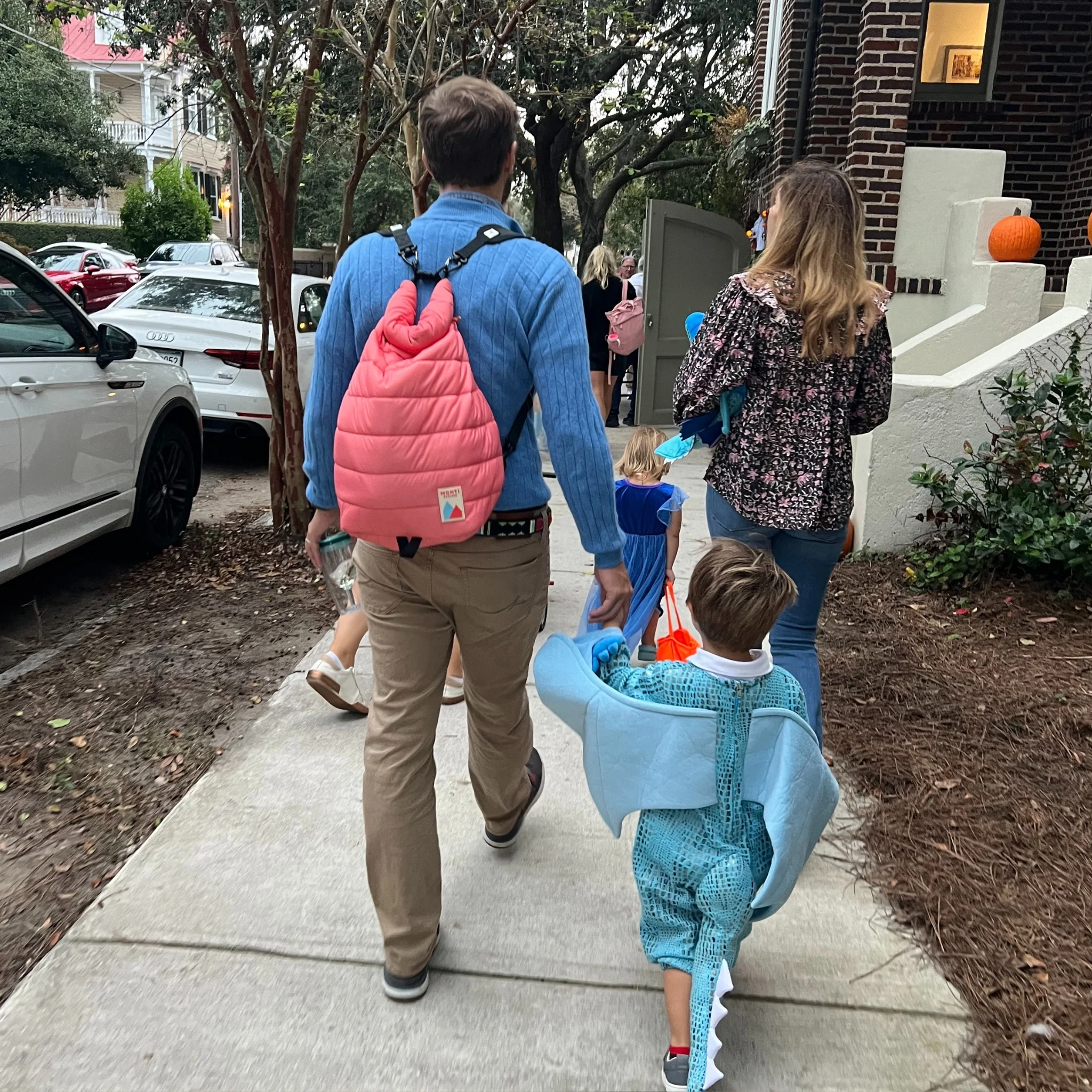 Backpack Straps (For Older Monti Cooler Versions) - Image 3